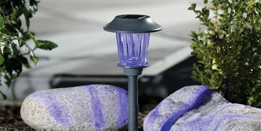 Lighteme Solar Color-Holding Pathway Lights, 8pk.