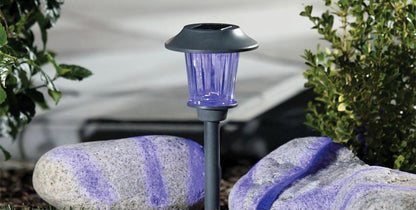 Lighteme Solar Color-Holding Pathway Lights, 8pk.