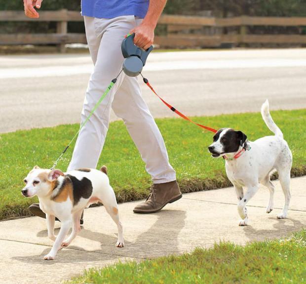 Lighteme Dog Leash For Two (3 colors)