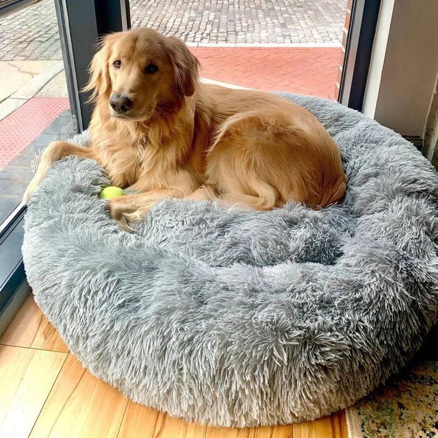 Lighteme Serene Comfort Dog Bed for Restful Sleep