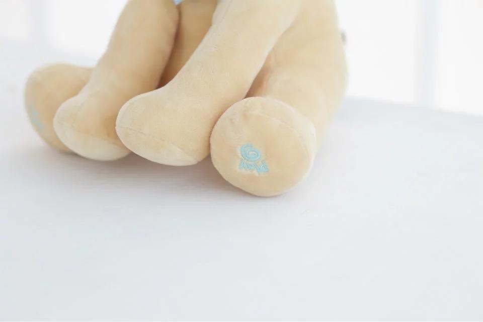 Lighteme Peek-a-Boo Animated Talking & Singing Puppy Dog Plush Toy [Limited Edition]