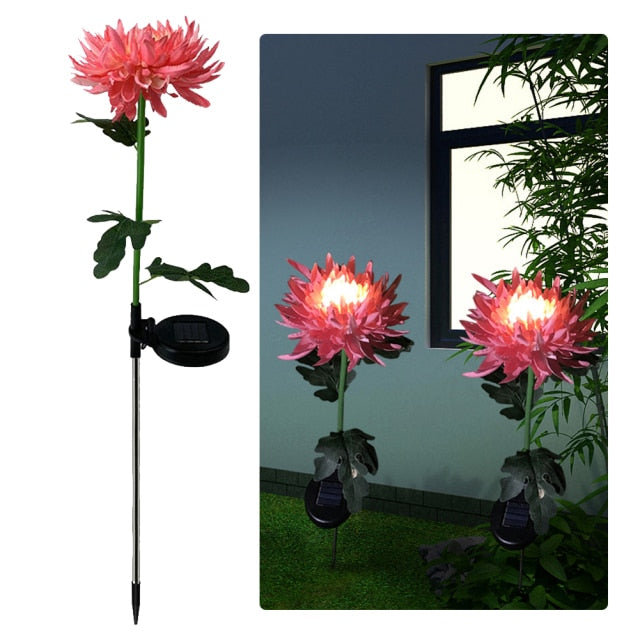 Lighteme Solar LED Light Artificial Chrysanthemum Flower (3 Pack)