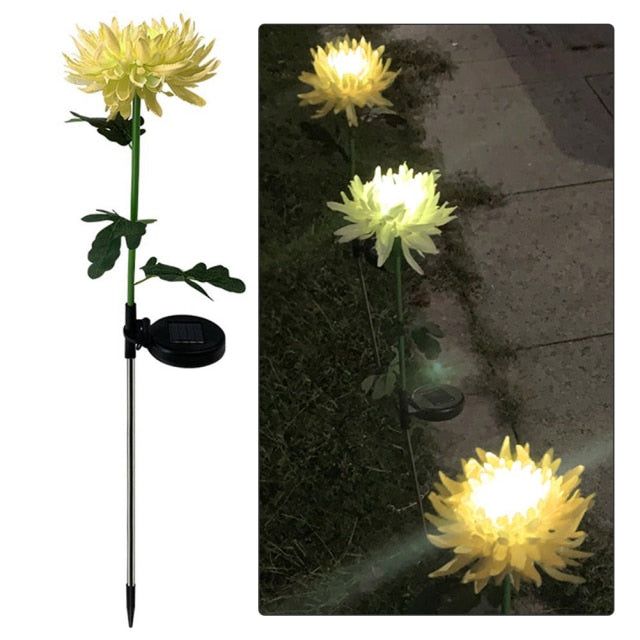 Lighteme Solar LED Light Artificial Chrysanthemum Flower (3 Pack)