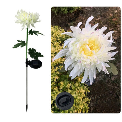 Lighteme Solar LED Light Artificial Chrysanthemum Flower (3 Pack)