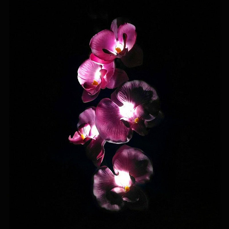 Lighteme 2 Pack Solar Orchid Flower Lights -40 Flowers