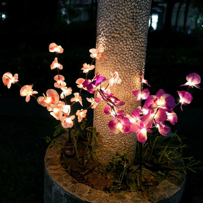 Lighteme 2 Pack Solar Orchid Flower Lights -40 Flowers