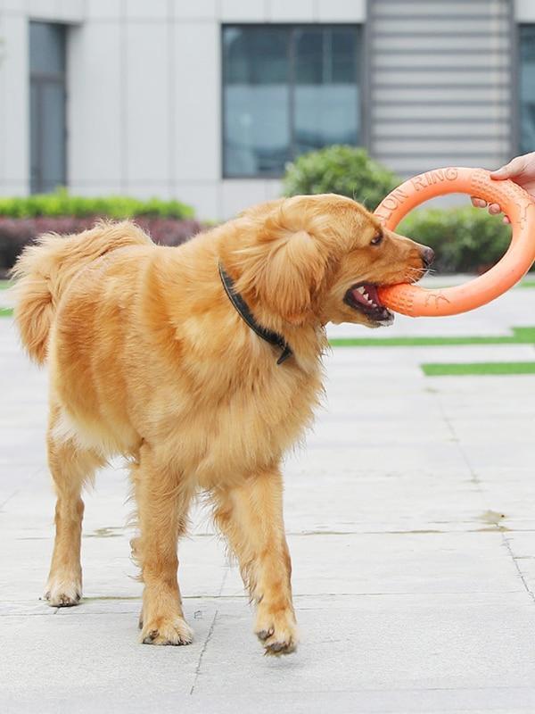 Lighteme Dog EVA Flying Discs Pet Training Ring Interactive Training Dog Toy (3 colors & 2 sizes)