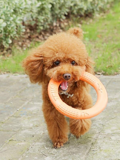 Lighteme Dog EVA Flying Discs Pet Training Ring Interactive Training Dog Toy (3 colors & 2 sizes)