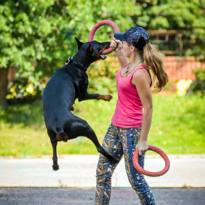 Lighteme Dog EVA Flying Discs Pet Training Ring Interactive Training Dog Toy (3 colors & 2 sizes)