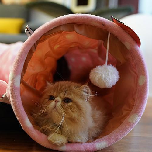 Lighteme Soft Cat Tunnel With Bed Mat (2 colors)